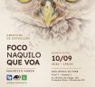 01-Cartaz-Feed-Abertura-Expo--1-
