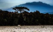 Inverno-Foto-Ricardo-Wolffenbuttel-_-Secom-1-678x381
