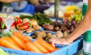 alimentos-678x381 (1)