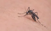 e795c184e6b6f66d6723978468c682c5