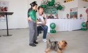 programa-veterinario-mirim-678x381